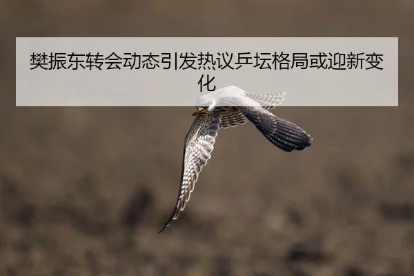 樊振东转会动态引发热议乒坛格局或迎新变化